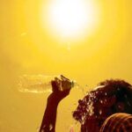 Вбивча спека 2024 року