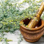 Dlaczego piołun jest potrzebny w magii?