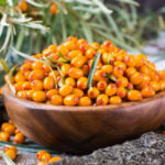 Przydatne właściwości rokitnika zwyczajnego