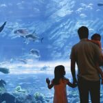 Лучшие развлечения от bodo